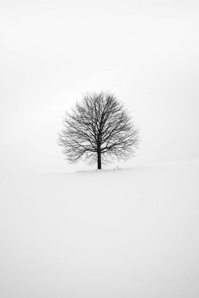 Photo minimalisme