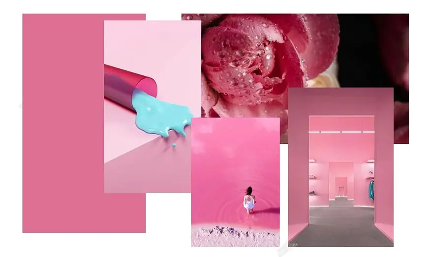 web design 2022 - moodboard rose