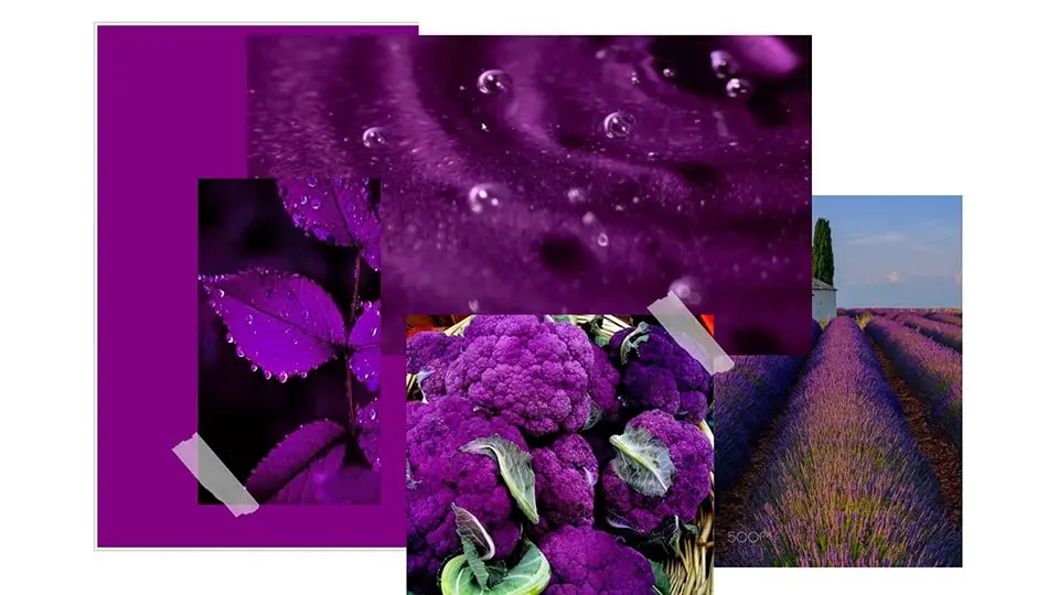 Tendances web design - moodboard violet